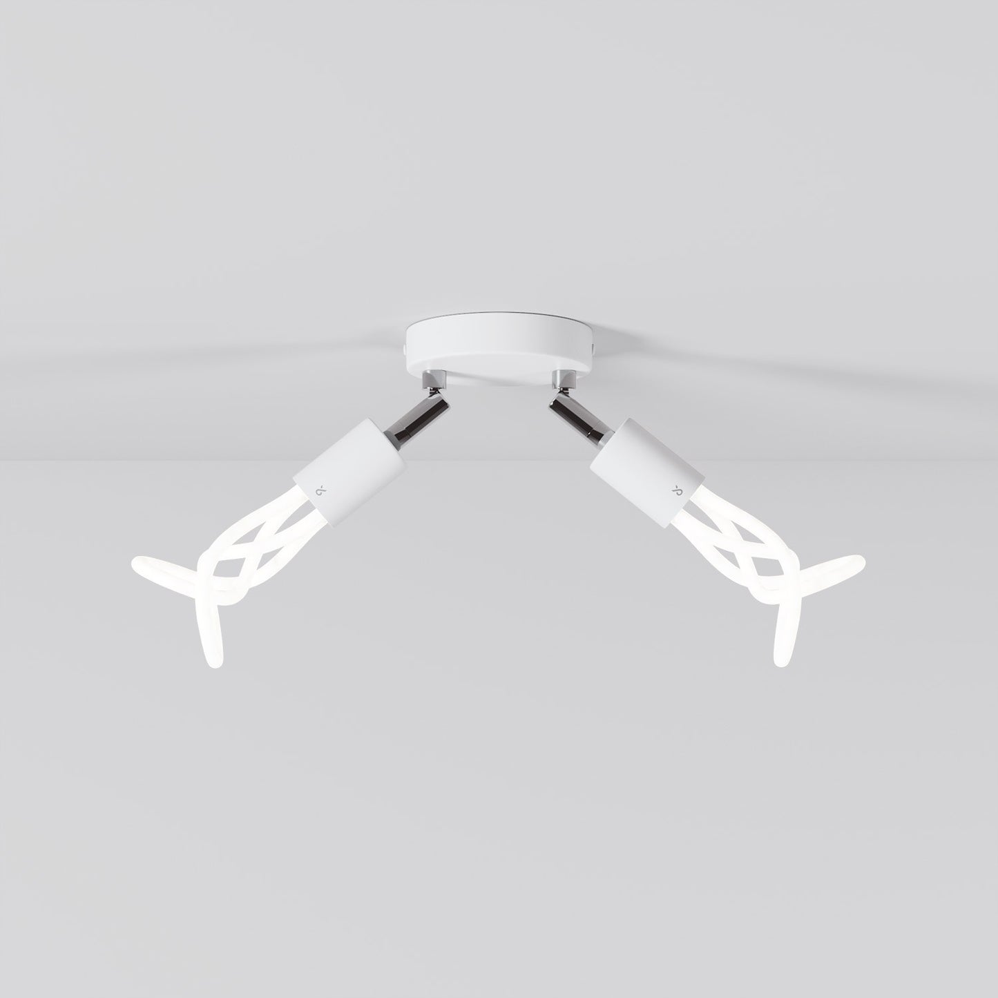 001 - Double adjustable lamp