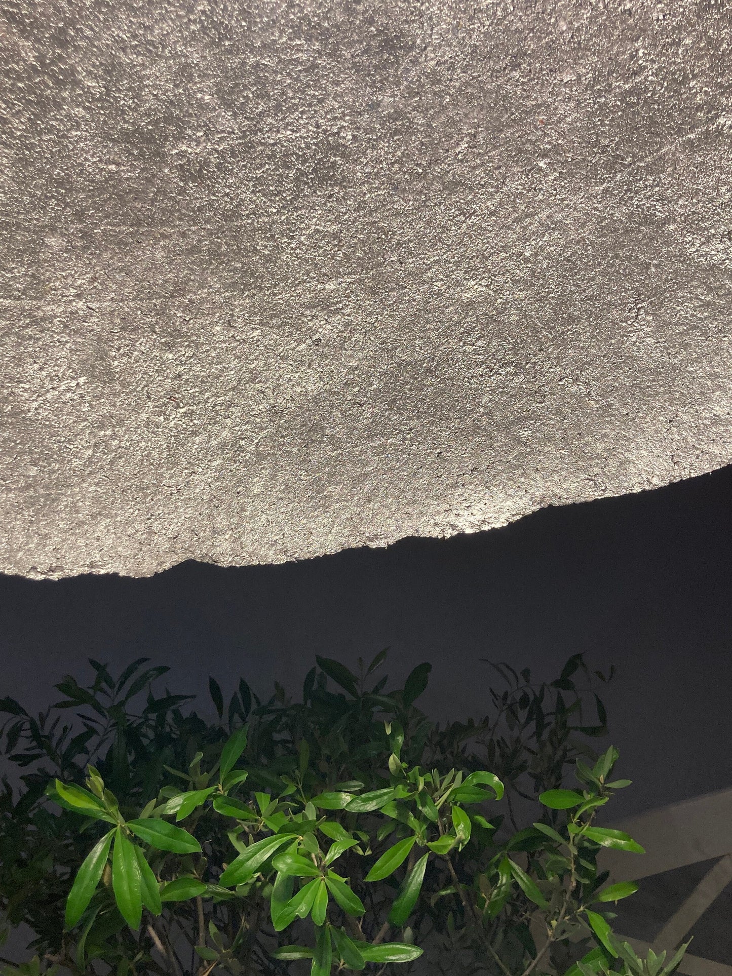 SKRUPKA artlight "big gray"