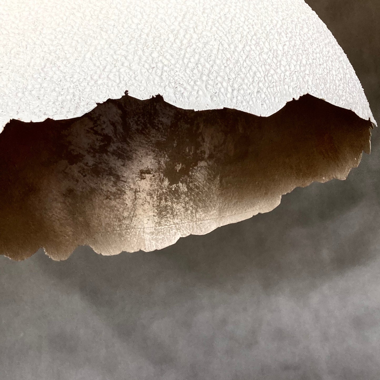 SKRUPKA artlight“white texture”