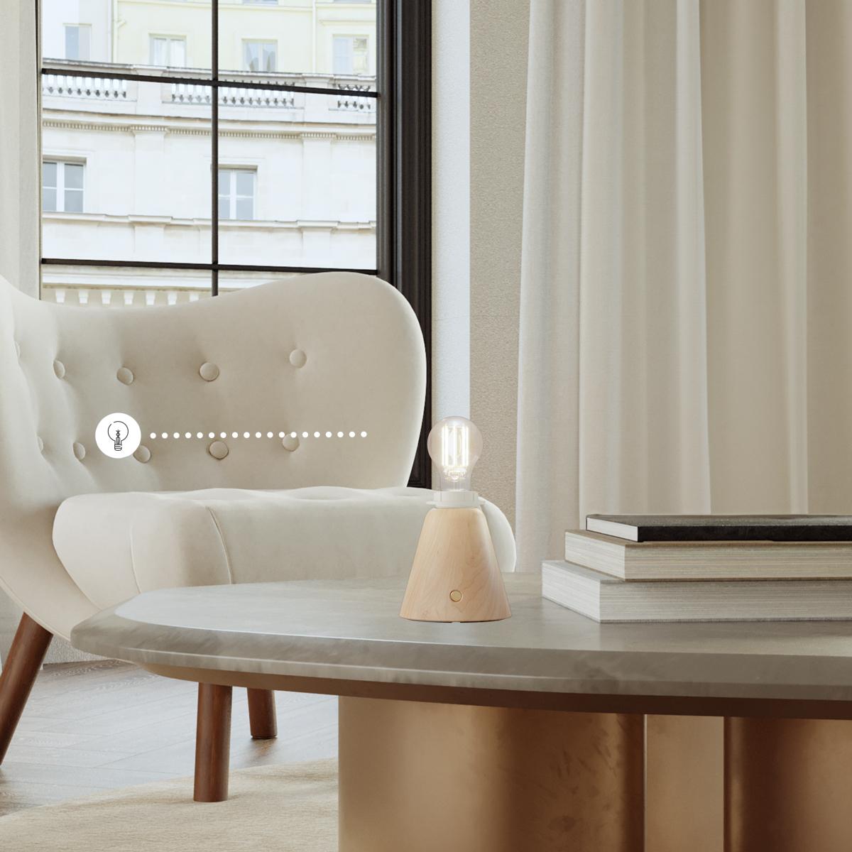 CABLESS11 CONFIG - UN3481 LITHIUM ION BATTERIES, 9 10265