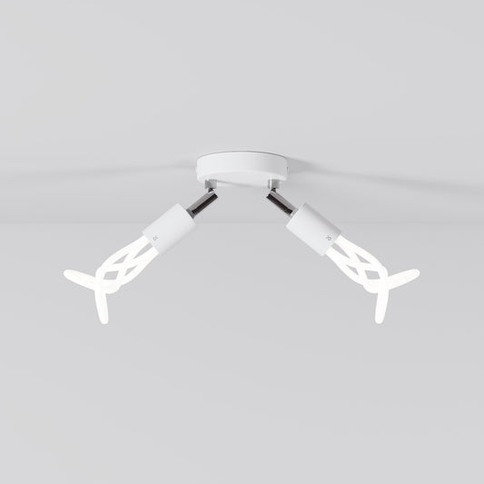 001 - Double adjustable lamp