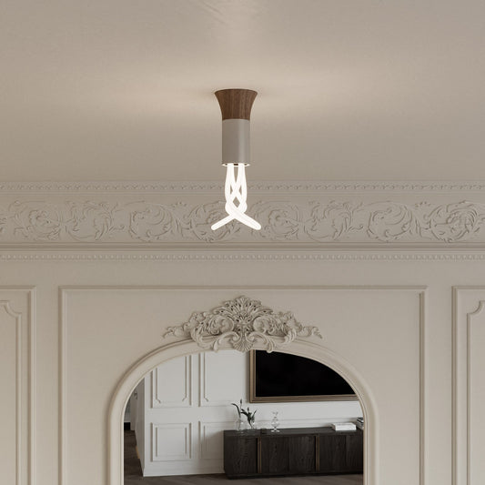 001C - Ceiling lamp