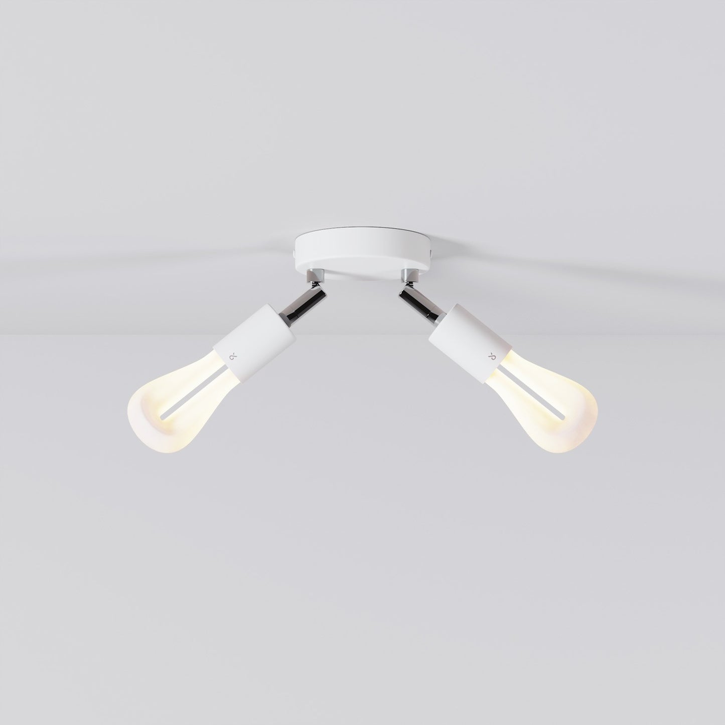 002 - Double adjustable lamp