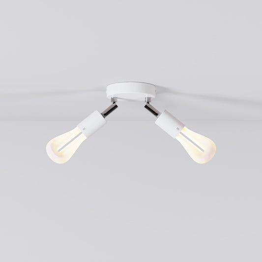 002 - Double adjustable lamp