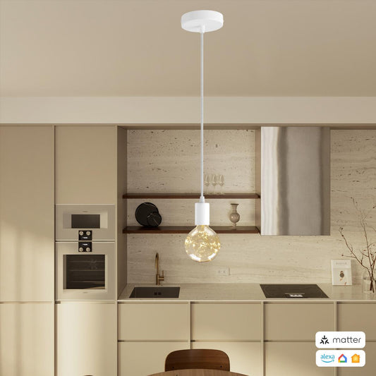 PENDEL CONFIG MATTER 10131