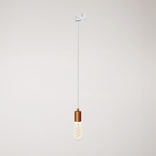 Pendant lamp with satin metal track trim